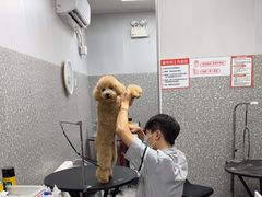 -宠物家(角门东店)