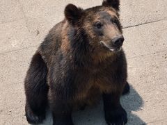 -大连森林动物园