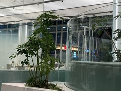 -大树餐厅(万达创始店)