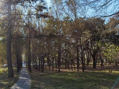 -长春市南湖公园