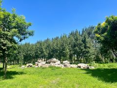 -马家湾湿地公园