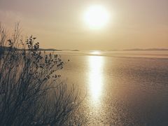 -美味之家·湖景农家乐(太湖东山店)