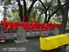 -大槐树寻根祭祖园