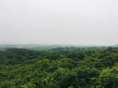-南京老山国家森林公园