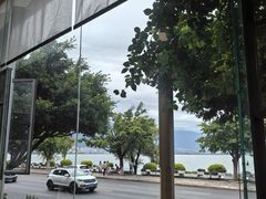 -野菌皇海景野生菌火锅(滨海大道店)