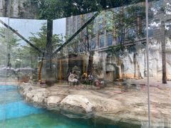 -灵玲国际马戏城