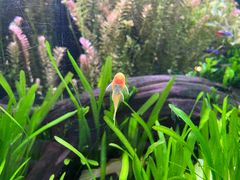 -上海海洋水族馆