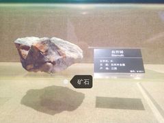 地质博物馆-甘肃地质博物馆