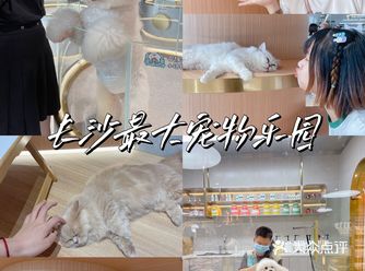 周末还不知道去哪里长沙这个超壕的宠物乐园