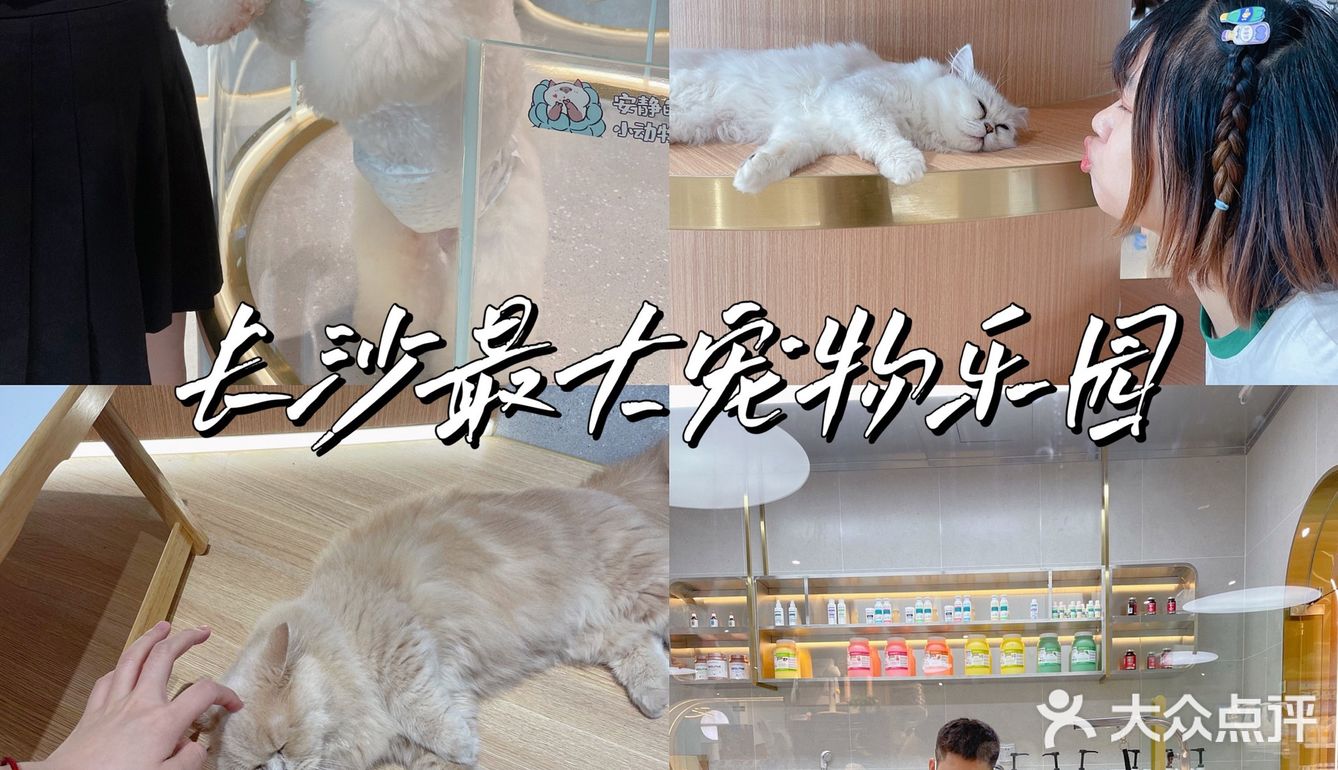 周末还不知道去哪里❓长沙这个超壕的宠物乐园