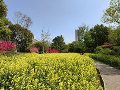 -圩墩遗址公园