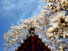 -北京石刻艺术博物馆(五塔寺)