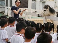 -金豆子幼稚园