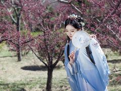 -龙口南山旅游景区