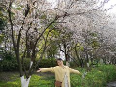 -花溪公园