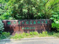 -杭州半山国家森林公园