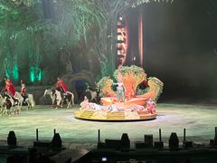 -广州长隆国际大马戏