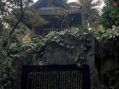 -广州兰圃