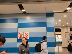 -大望路(地铁站)