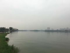-飞来湖湿地公园