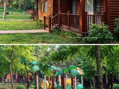 -济南野生动物世界