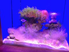 -多彩贵州城极地海洋世界