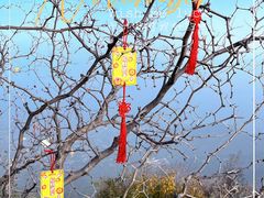 -香山公园