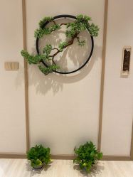 -HQ半永久纹绣纹眉