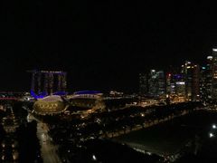 -新加坡瑞士史丹福酒店