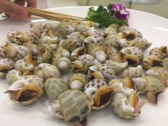 盐焗花螺-四海之家(蛇口店)