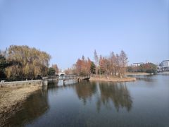 -尚贤河湿地