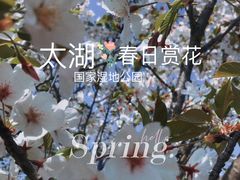 -苏州太湖国家湿地公园
