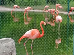 -石家庄市动物园