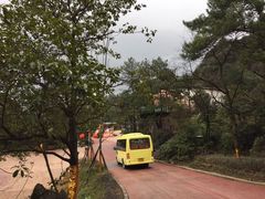 -梦幻奥陶纪景区