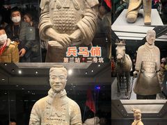 -秦始皇帝陵博物院-丽山园