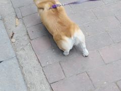 -火炉山森林公园