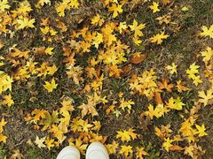 -汉长安城未央宫国家考古遗址公园