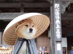-其美潮州鱼旦粉世家(花城汇南区分店)