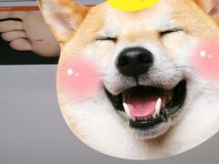 -杭州市第三人民医院
