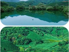 -龙坞茶村