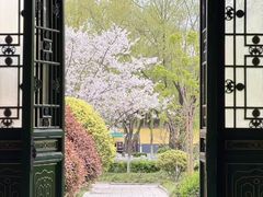 -横店圆明新园