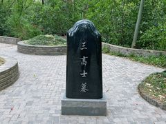 -上海佘山国家森林公园天马山园