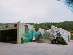 -广东惠东海龟国家级自然保护区