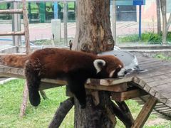 -水上乐园·欢乐世界