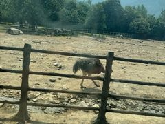 -西安秦岭野生动物园