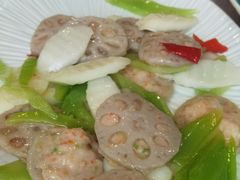 -丁老爷子苏香圆