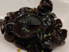 凉拌木耳-京粤荟(海王银河科技大厦店)