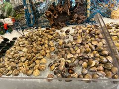 -鲤鱼洲酒店港鲤咖啡厅