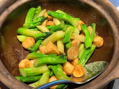 啫啫芥兰-粤界(望京金辉店)