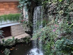 -广州白天鹅宾馆